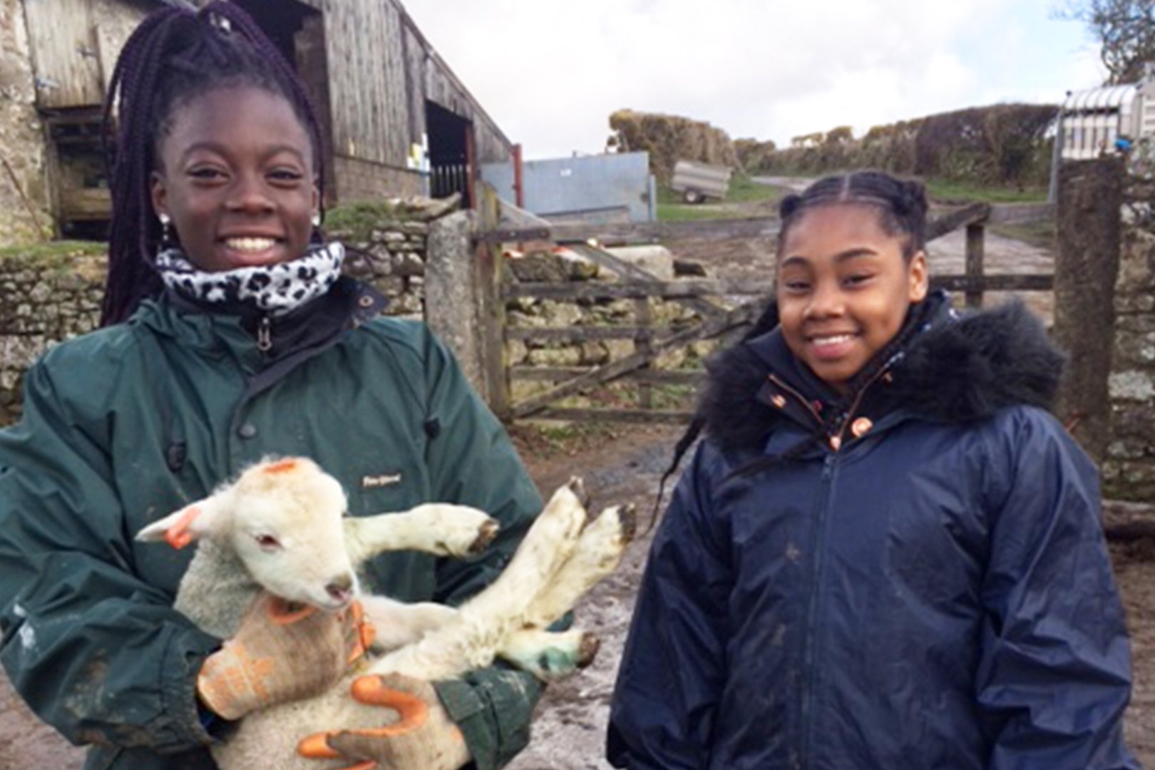 Shallowford Farm Transforming Lives on a Working Farm on Dartmoor