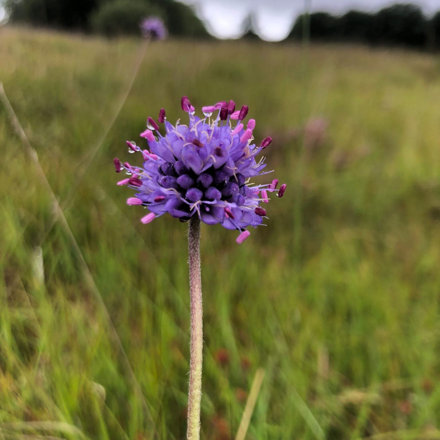Shallowford Farm Transforming Lives on a Working Farm on Dartmoor