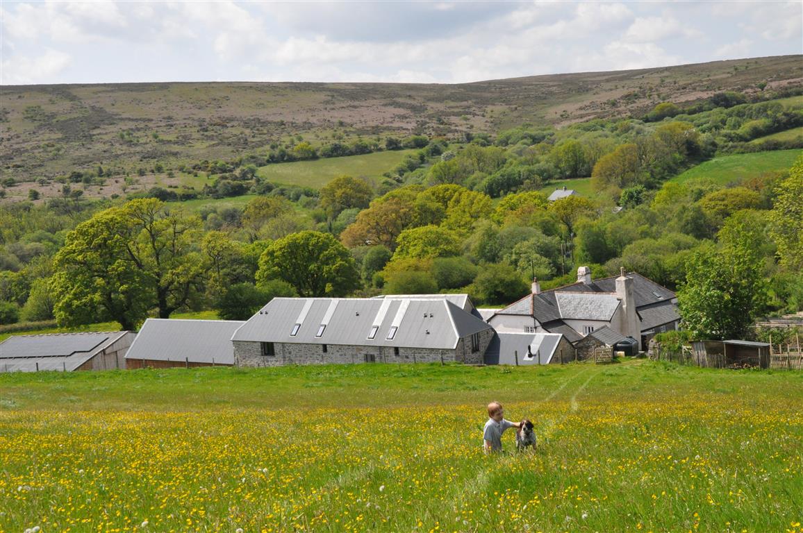 the farm from afar (Medium)